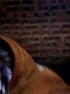 yana-zz online show from 01/13/26, 12:27