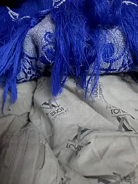 Snapshot of piedic chatting on 12/14/25, 10:14 piedic online show from 12/14/25, 10:14