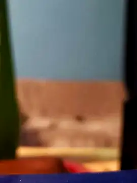 Snapshot of Roberto772 chatting on 02/26/26, 03:38 Roberto772 online show from 02/26/26, 03:38