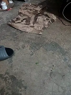 Lovely priya1001 online show from 04/22/26, 01:41