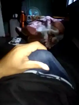 Rodriguesz77 online show from 06/13/26, 07:34