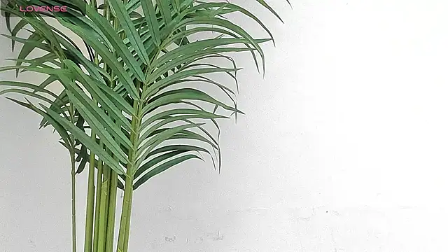 Snapshot of sebastamayo_ chatting on 01/09/26, 08:54 sebastamayo online show from 01/09/26, 08:54