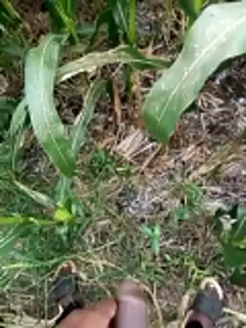 loki-king-143 online show from 03/09/26, 09:46