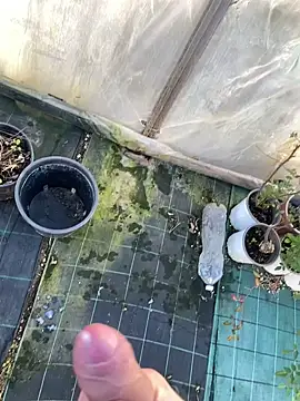 marcoboss online show from 01/14/26, 01:50