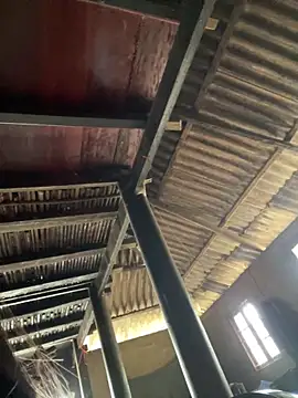 Nika-be online show from 03/03/26, 04:18