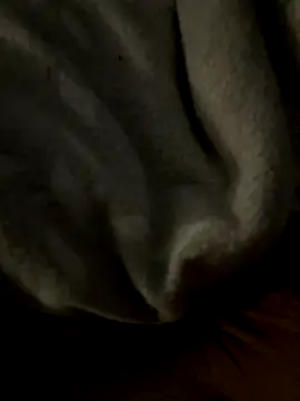 Snapshot of kb20sss chatting on 12/14/25, 12:27 kb20sss online show from 12/14/25, 12:27