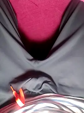 Snapshot of ethanfox966 chatting on 12/14/25, 04:45 ethanfox966 online show from 12/14/25, 04:45