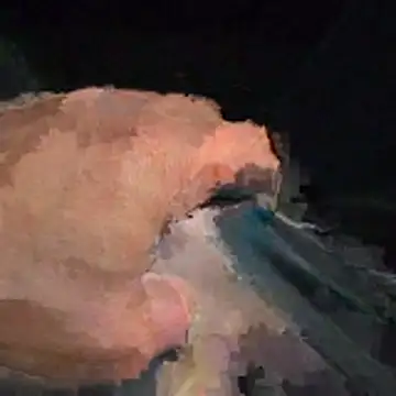 abmelken online show from 04/15/26, 11:17