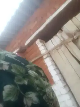 Pinki rajak online show from 04/24/26, 10:50