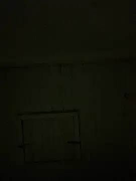 Snapshot of reckless_34 chatting on 02/07/26, 11:52 reckless 34 online show from 02/07/26, 11:52