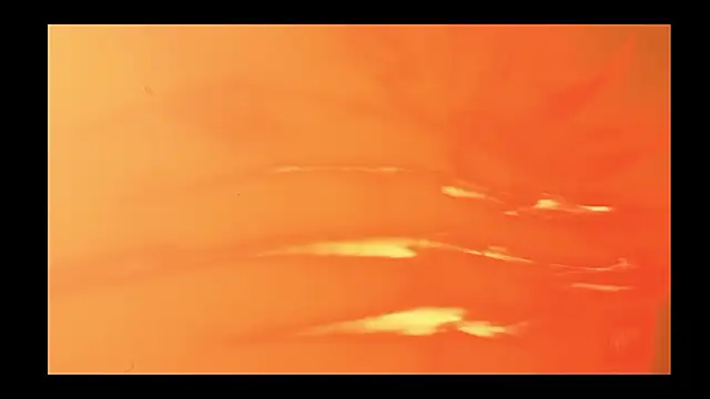 vickvalencia2 online show from 02/13/26, 01:40