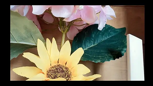 Snapshot of vickvalencia2 chatting on 05/04/26, 01:40 vickvalencia2 online show from 05/04/26, 01:40