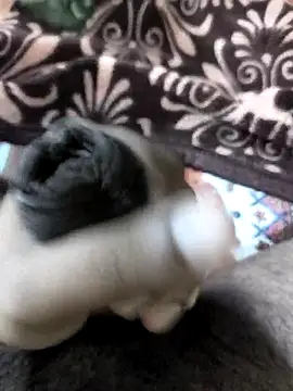 Snapshot of Devil_346 chatting on 12/14/25, 10:14 Devil 346 online show from 12/14/25, 10:14