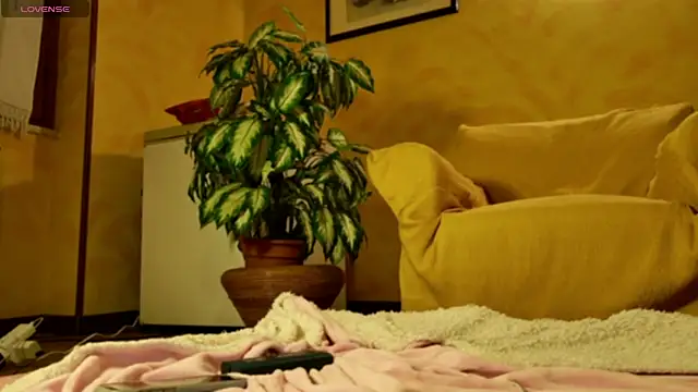 mark ariete online show from 02/24/26, 06:39