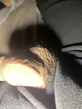 Snapshot of lion_kun chatting on 12/17/25, 10:10 lion kun online show from 12/17/25, 10:10