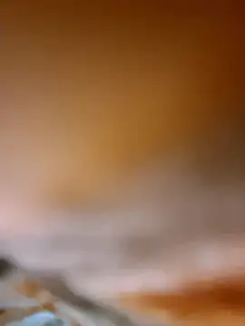 aman4404 online show from 01/08/26, 05:21