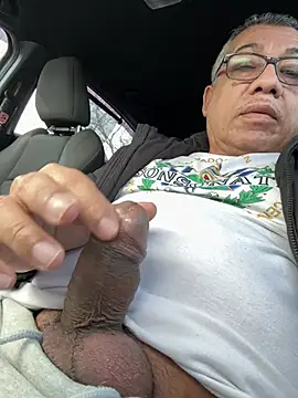 tigre6911 online show from 02/26/26, 05:12