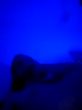 Snapshot of vladopen chatting on 01/07/26, 05:21 vladopen online show from 01/07/26, 05:21