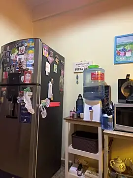 Yara-Lolii online show from 02/17/26, 11:18