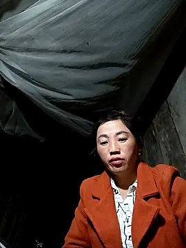 seacyre online show from 12/18/25, 09:21