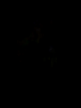 bnglrboy0886 online show from 04/21/26, 05:39