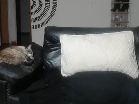 BeautyYoungblond online show from 03/14/26, 02:39