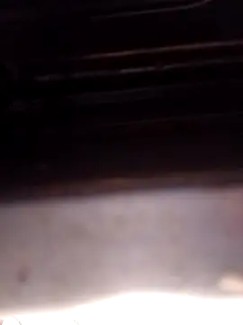 punecouplegroup online show from 12/18/25, 05:46