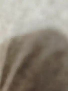 Indian groupxxx online show from 12/16/25, 04:56