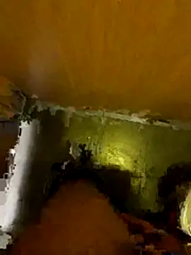 Thilandex online show from 12/19/25, 01:56