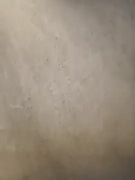 Telugumistress online show from 01/08/26, 12:07