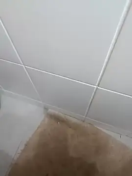 cdcdc21 online show from 03/24/26, 05:51