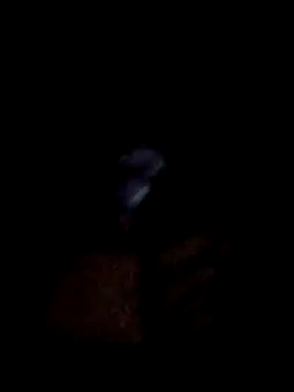 yourwellman online show from 03/05/26, 05:20