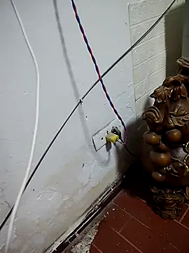 thobaby99 online show from 01/09/26, 07:55