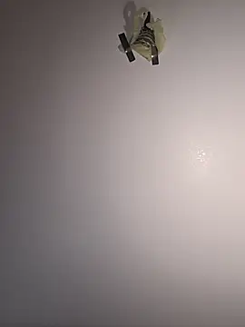 JMeowMix online show from 04/13/26, 09:53