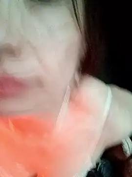 boiboi001 online show from 02/02/26, 09:08