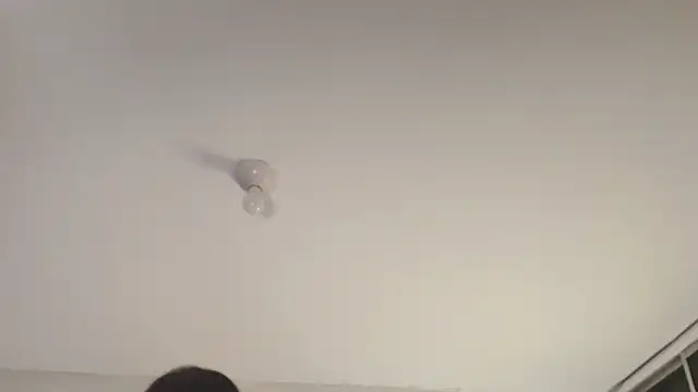 Sofii unicorn online show from 03/13/26, 01:40