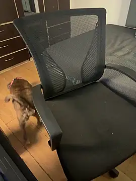 Sofii unicorn online show from 04/21/26, 01:42