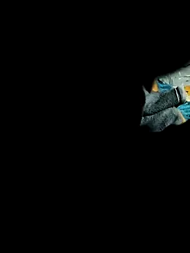 Hot2602 online show from 02/22/26, 07:01