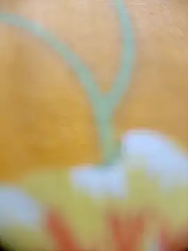 Hooghlypinkivabi online show from 02/20/26, 02:28