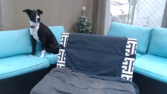 mspatience online show from 03/06/26, 08:27