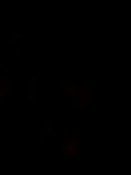 theboyas online show from 03/29/26, 06:30