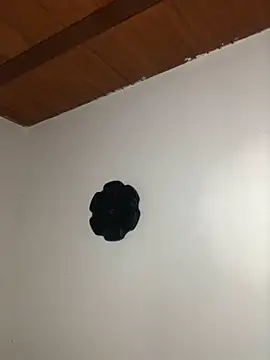 seth c online show from 03/21/26, 06:11