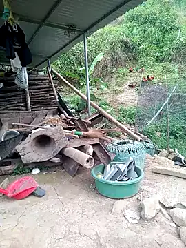 congchua977 online show from 04/17/26, 11:02