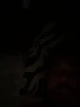 Snapshot of paco199923 chatting on 02/04/26, 09:15 paco199923 online show from 02/04/26, 09:15