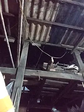 dakota-kis online show from 03/30/26, 11:44