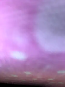 m9awadan online show from 01/05/26, 09:18