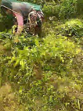 Snapshot of hornycouple20000 chatting on 01/08/26, 05:43 hornycouple20000 online show from 01/08/26, 05:43