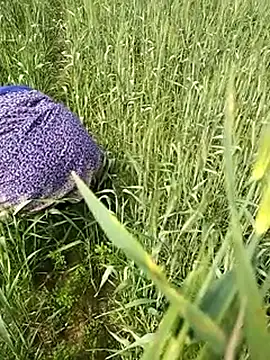 Snapshot of hornycouple20000 chatting on 02/01/26, 06:45 hornycouple20000 online show from 02/01/26, 06:45