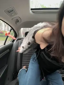 mo-mo-69 online show from 04/03/26, 02:09