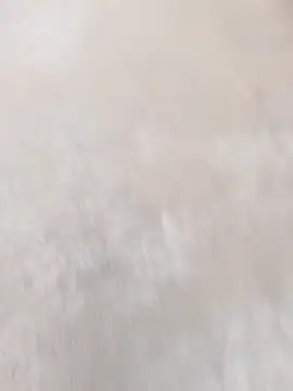 daksh  8 inche online show from 04/07/26, 01:50